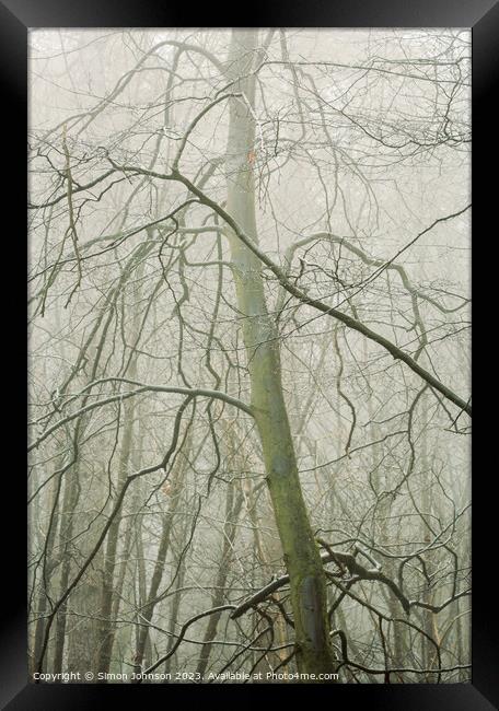 Woodland y Framed Print by Simon Johnson