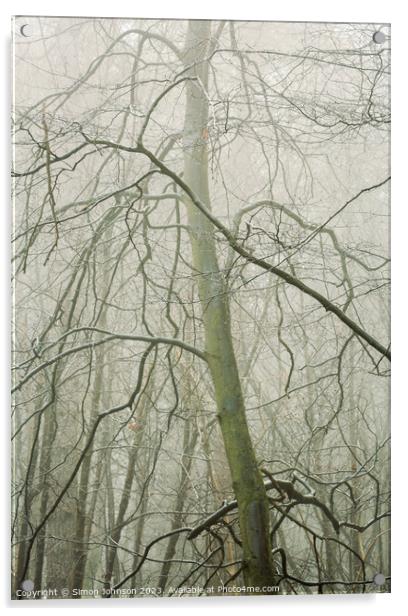 Woodland y Acrylic by Simon Johnson