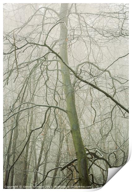 Woodland y Print by Simon Johnson