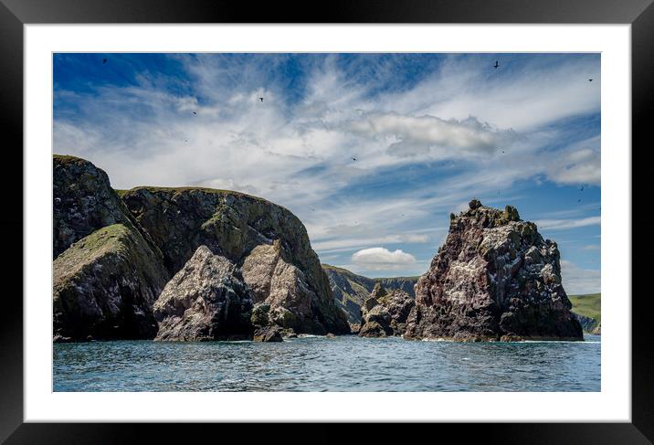 St Abbs Headland Framed Mounted Print by Peter Bardsley