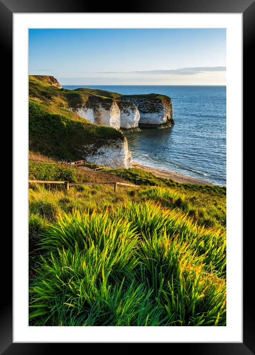 Flamborough Head Cliffs in Springtime Framed Mounted Print by Tim Hill