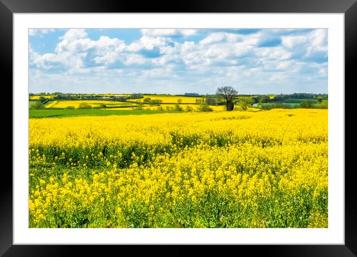 Golden Fields of Purston Framed Mounted Print by Tim Hill