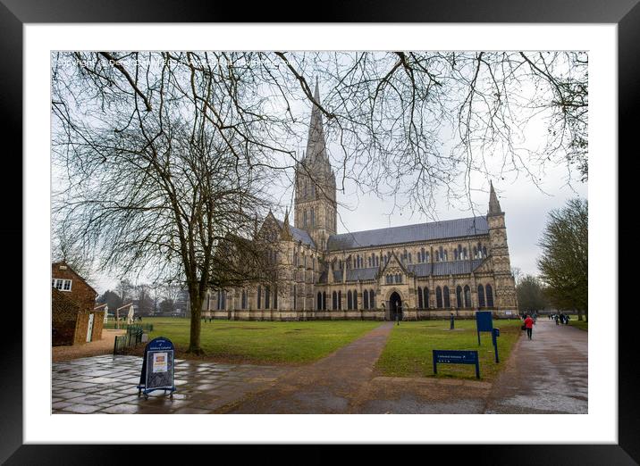 Majestic Salisbury Cathedral Framed Mounted Print by Derek Daniel