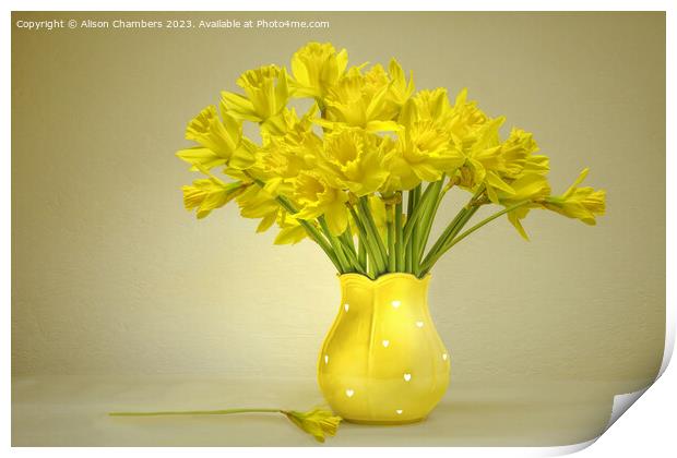 Daffodils  Print by Alison Chambers