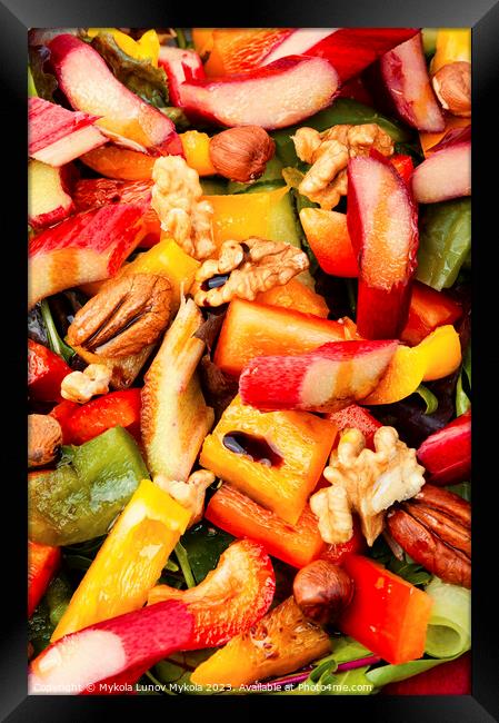 Spring salad with rhubarb, greens and nuts. Framed Print by Mykola Lunov Mykola