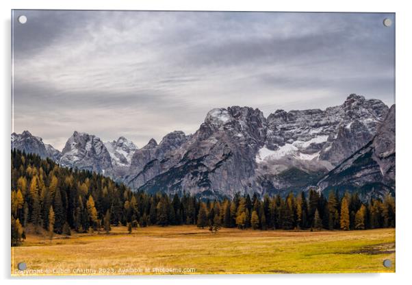 Scenic landscape of Dolomites, Belluno Province, Dolomiti Alps Acrylic by Lubos Chlubny