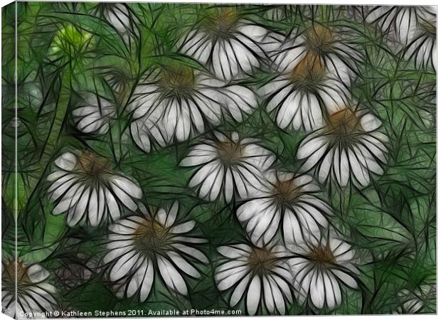 Coneflowers in White Canvas Print by Kathleen Stephens