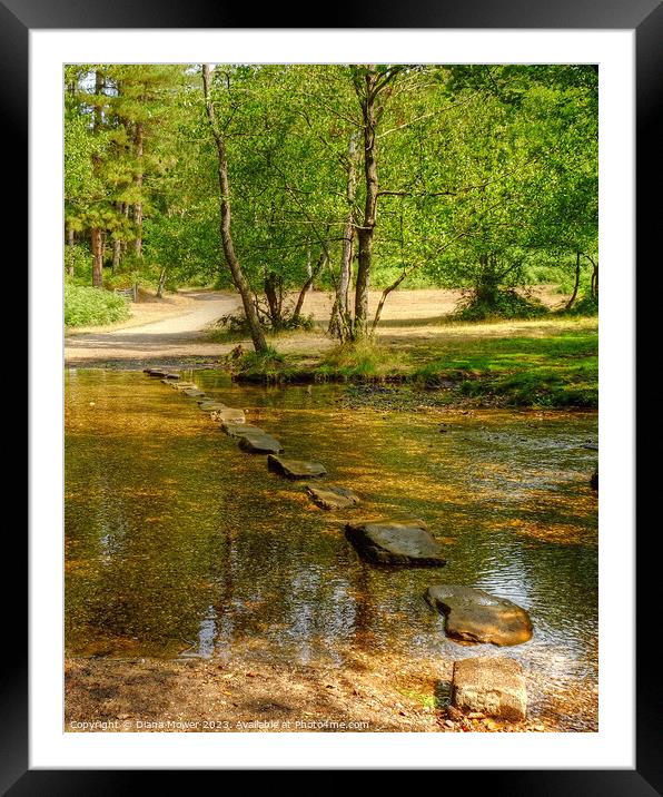Cannock Chase Stepping Stones Framed Mounted Print by Diana Mower