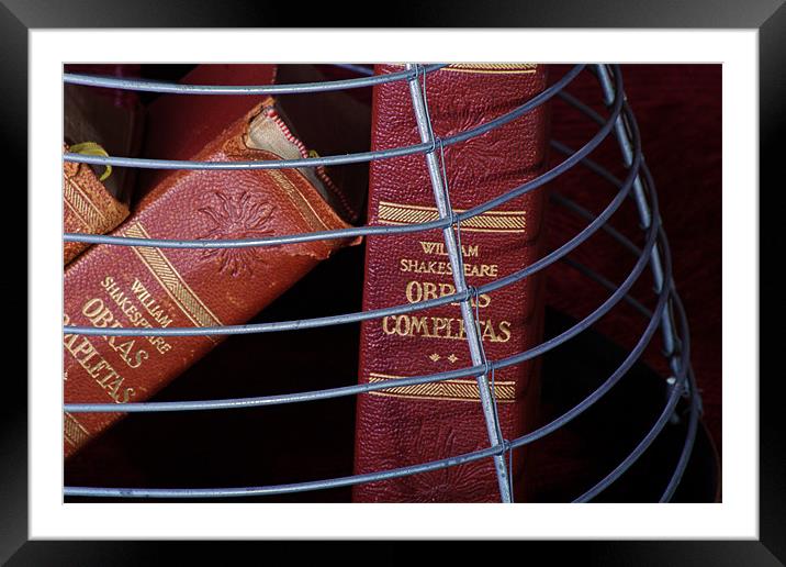 Books in a cage 1 Framed Mounted Print by Jose Manuel Espigares Garc