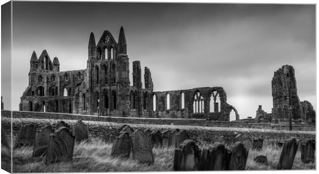 Whitby Abbey from St Marys Graveyard Canvas Print by Tim Hill