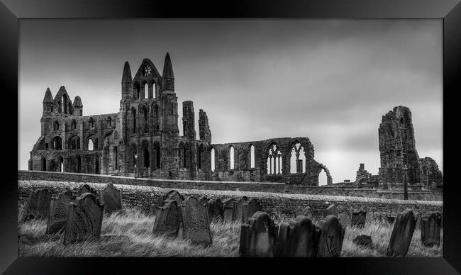 Whitby Abbey from St Marys Graveyard Framed Print by Tim Hill