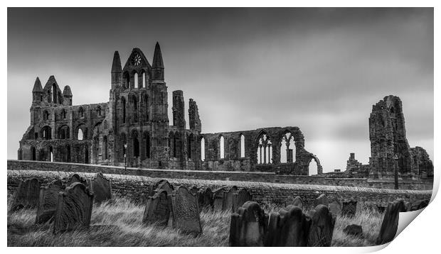 Whitby Abbey from St Marys Graveyard Print by Tim Hill