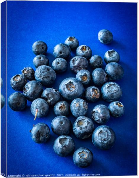 Aged or over ripe Blueberries on a dark blue backg Canvas Print by johnseanphotography 
