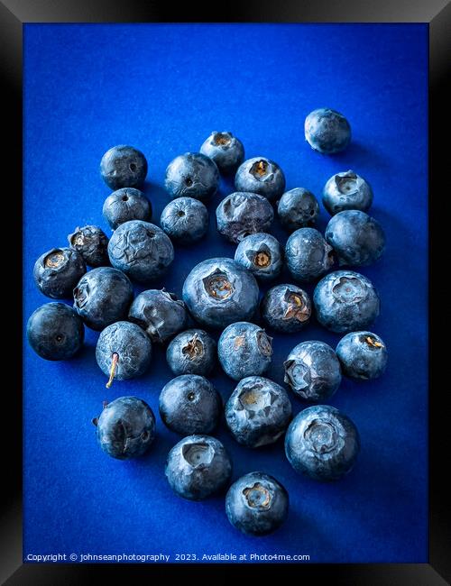 Aged or over ripe Blueberries on a dark blue backg Framed Print by johnseanphotography 