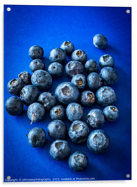 Aged or over ripe Blueberries on a dark blue backg Acrylic by johnseanphotography 