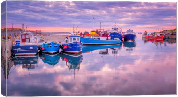 Seahouses Harbour Canvas Print by Tim Hill