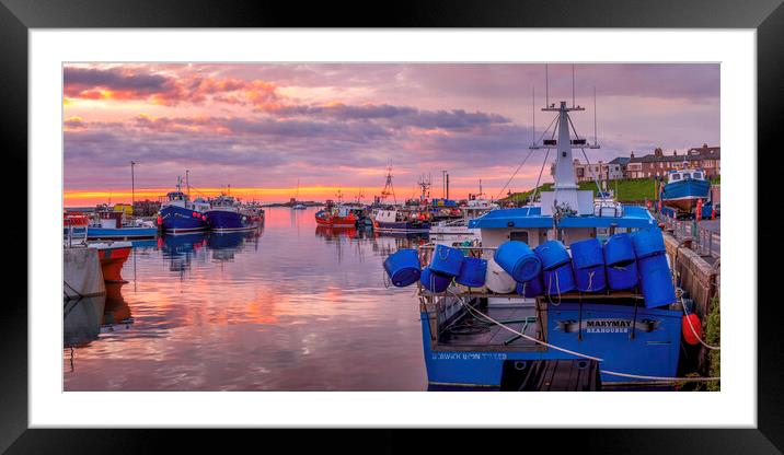 Seahouses Harbour Sunrise Framed Mounted Print by Tim Hill