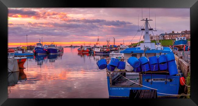 Seahouses Harbour Sunrise Framed Print by Tim Hill
