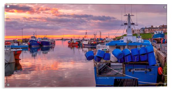 Seahouses Harbour Sunrise Acrylic by Tim Hill