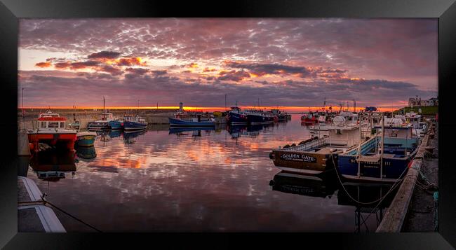 Calm Sunrise Over Seahouses Harbour Framed Print by Tim Hill