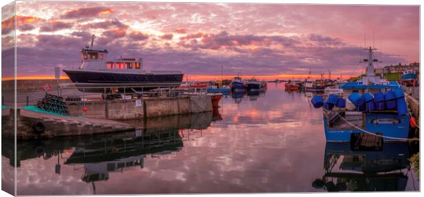 Serene Sunrise Over Seahouses Harbor Canvas Print by Tim Hill