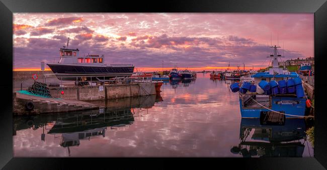 Serene Sunrise Over Seahouses Harbor Framed Print by Tim Hill