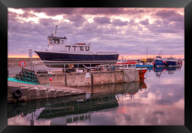 Seahouses Harbour Framed Print by Tim Hill