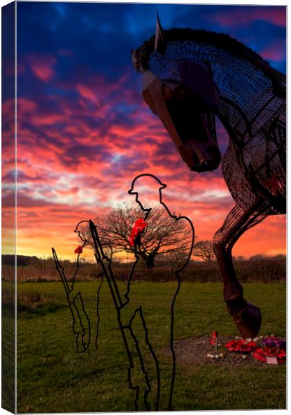 Featherstone War Horse Canvas Print by Tim Hill