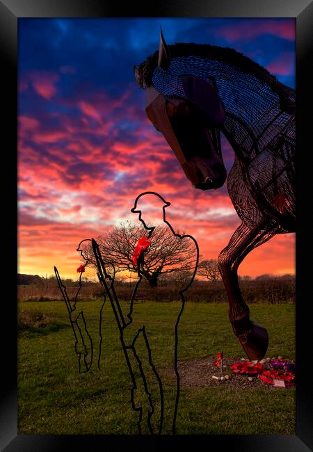Featherstone War Horse Framed Print by Tim Hill