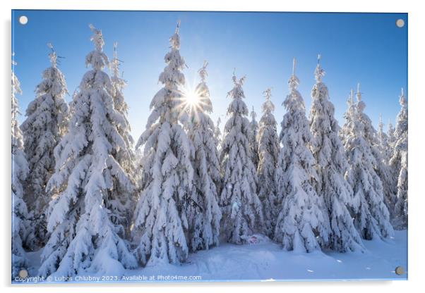 Winter spruce trees with sun rays. Trees covered in deep snow. Acrylic by Lubos Chlubny
