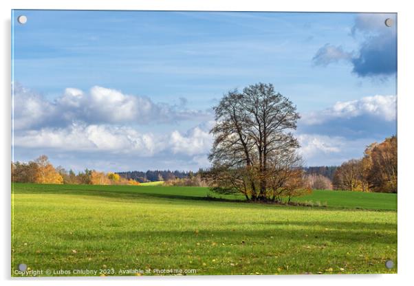 Lonely tree in autumn landscape Acrylic by Lubos Chlubny