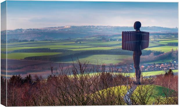 Angel of the North - Gateshead Canvas Print by Will Ireland Photography