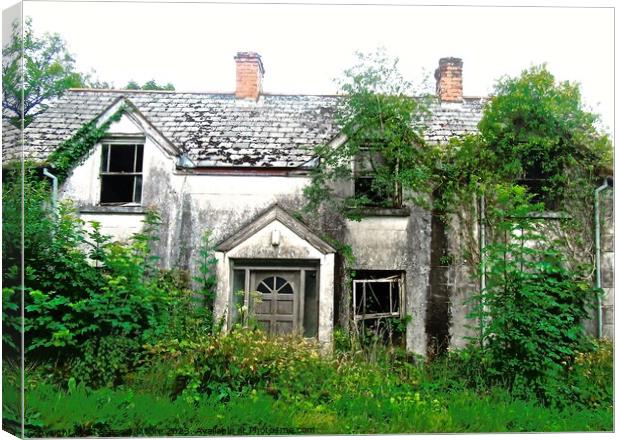 Abandoned house Canvas Print by Stephanie Moore