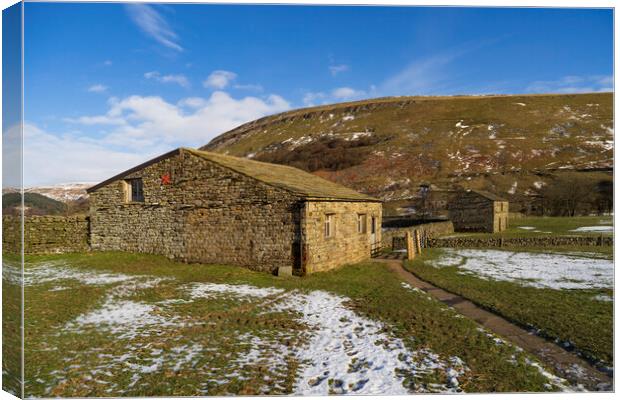 A Serene Hike Through Yorkshire Dales Canvas Print by Steve Smith