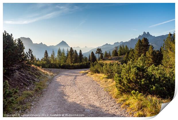 Wide trail in the Dolomites. Hiking trip, Walking path in dolomites landscape. The Tofane Group in the Dolomites, Italy, Europe. Print by Lubos Chlubny