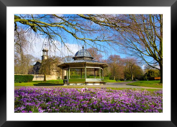 Roundhay Park Leeds Framed Mounted Print by Alison Chambers