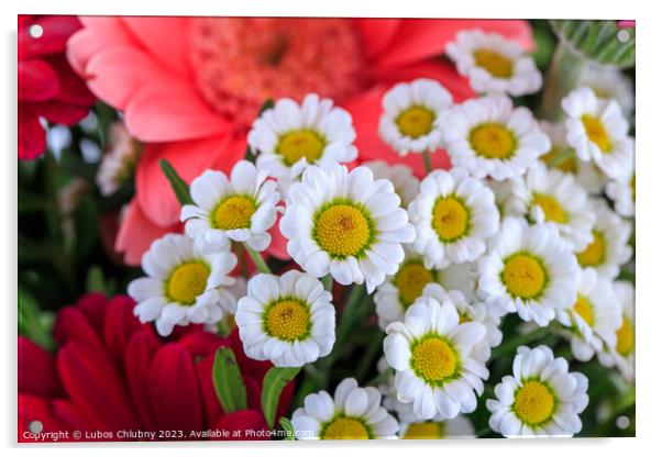 Nice bouquet isolated on white background Acrylic by Lubos Chlubny