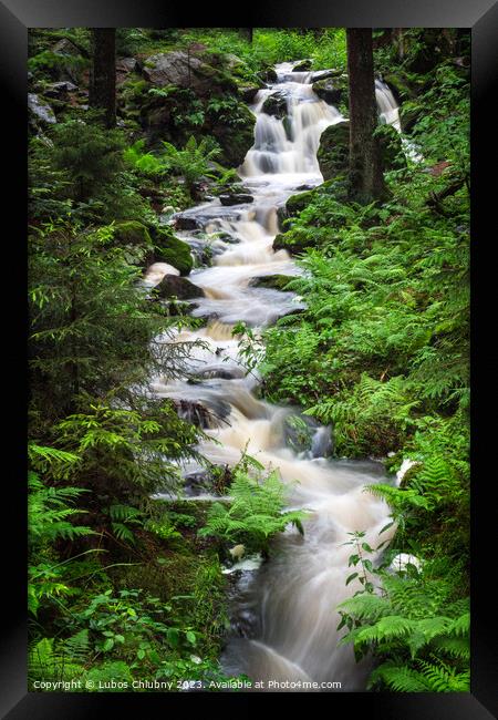 Waterfall, wild river Doubrava in Czech Republic. Valley Doubrava near Chotebor. Framed Print by Lubos Chlubny