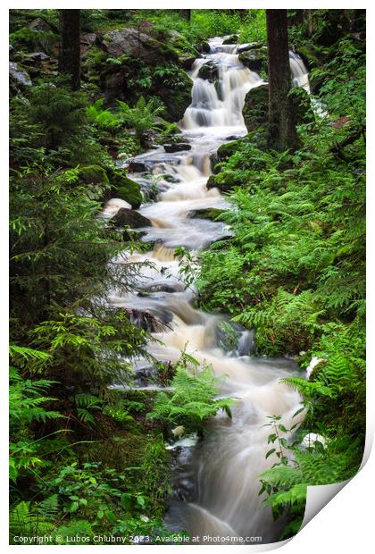 Waterfall, wild river Doubrava in Czech Republic. Valley Doubrava near Chotebor. Print by Lubos Chlubny