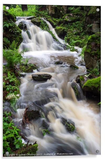 Waterfall, wild river Doubrava in Czech Republic. Valley Doubrava near Chotebor. Acrylic by Lubos Chlubny