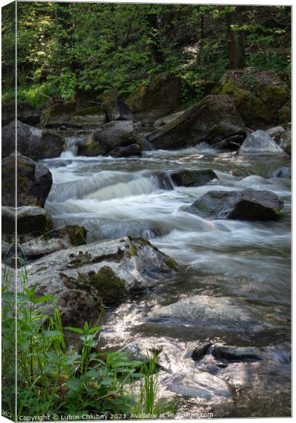 Wild river Doubrava in Czech Republic, Europe. Canvas Print by Lubos Chlubny