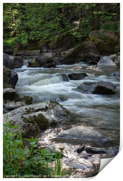 Wild river Doubrava in Czech Republic, Europe. Print by Lubos Chlubny