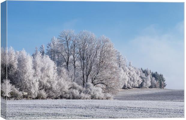 Winter landscape with trees covered with hoarfrost Canvas Print by Lubos Chlubny