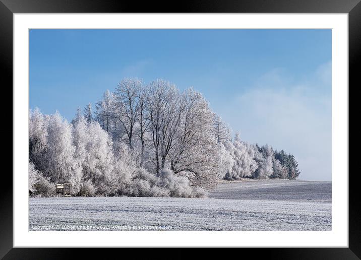 Winter landscape with trees covered with hoarfrost Framed Mounted Print by Lubos Chlubny