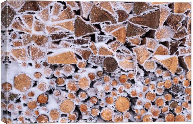 Frost on a pile of firewood Canvas Print by Lubos Chlubny