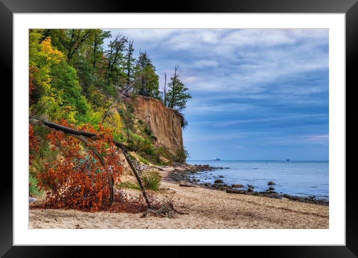 Orlowo Cliff And Beach At Baltic Sea In Gdynia Framed Mounted Print by Artur Bogacki