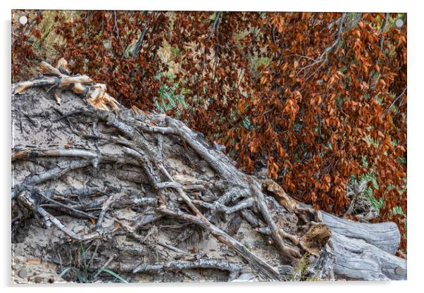 Autumn Leaves And Dry Tree Roots Acrylic by Artur Bogacki