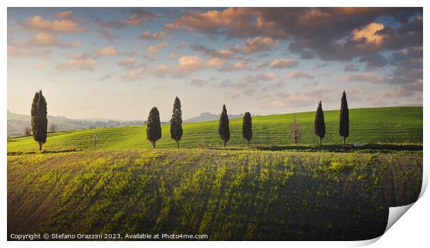 Cypress trees along a hillside in the Pisan hills. Tuscany Print by Stefano Orazzini