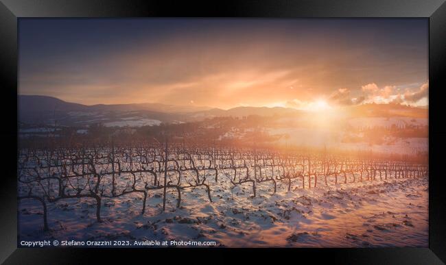 Snow in the vineyards of Chianti at sunset near Siena, Italy Framed Print by Stefano Orazzini