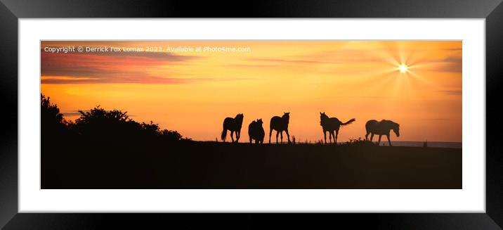 Horses at sunset in Bury lancs Framed Mounted Print by Derrick Fox Lomax